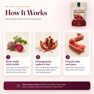 How it works: beets make nitric oxide, pomegranate makes it last, and blood vessels relax and open