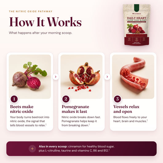 How it works: beets make nitric oxide, pomegranate makes it last, and blood vessels relax and open