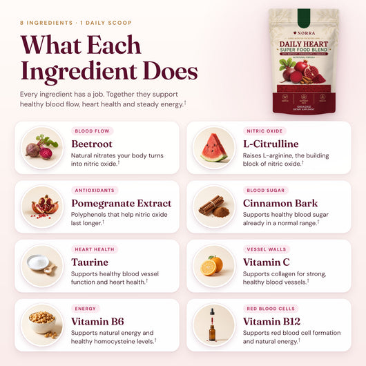 What each ingredient in Norra Daily Heart Blend does: beetroot, L-citrulline, pomegranate, cinnamon, taurine and vitamins C, B6 and B12